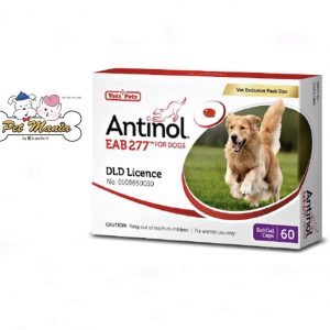 Antinol DOG อาหารเสริมบำรุงข้อสำหรับสุนัข 1กล่อง บรรจุ 60 เม็ด เลขทะเบียนอาหารสัตว์0108550014(รอสินค้า2-3วัน)